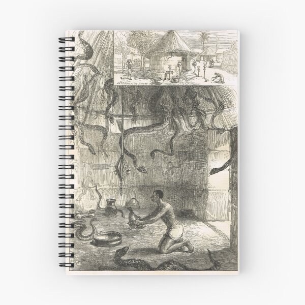 Item preview, Snake House West Coast of Africa 1876 designed and sold by artfromthepast.