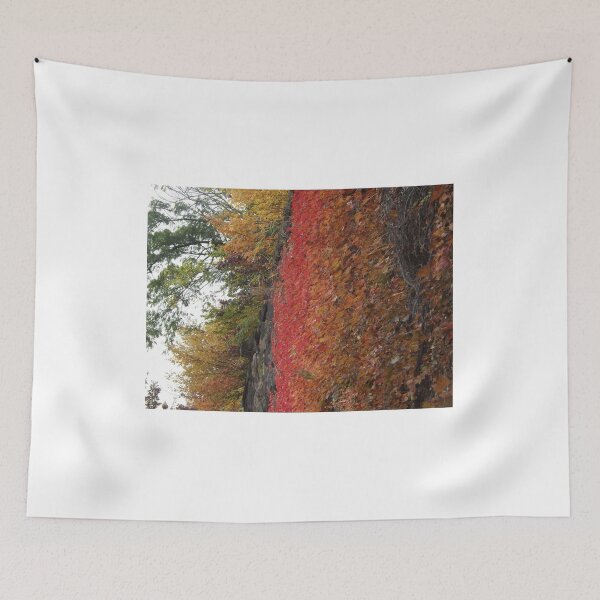 Item preview, Autumn Colors, Harsimus Stem Embankment, Jersey City, New Jersey designed and sold by lenspiro.