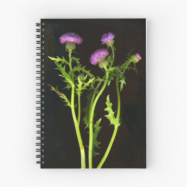Item preview, Scottish Thistle designed and sold by Barbara E Wyeth.