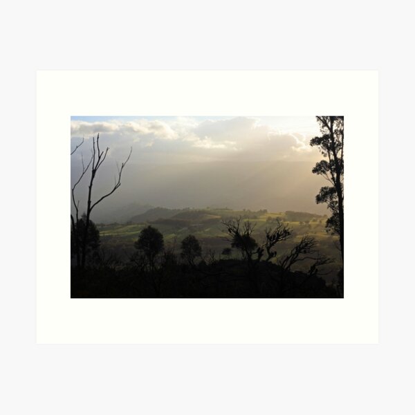 Item preview, Afternoon Kanimbla Valley Through Silhouetted Trees designed and sold by Geoff Smith.
