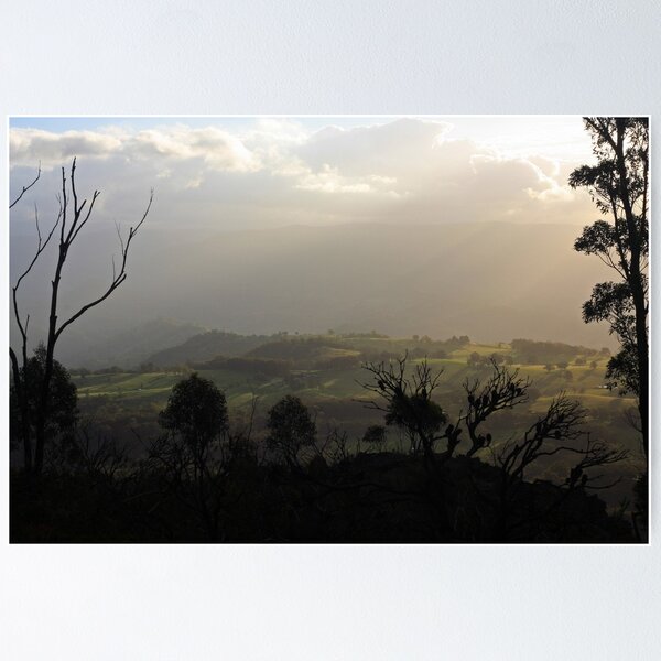 Item preview, Afternoon Kanimbla Valley Through Silhouetted Trees designed and sold by Geoff Smith.