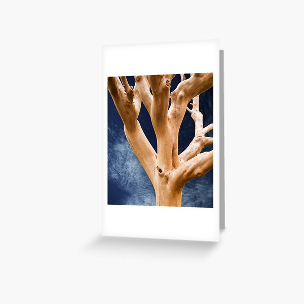 Vista previa del artículo con la obra «Compuesto de mirto de crepe», diseñado y vendido por polyhymnia14.