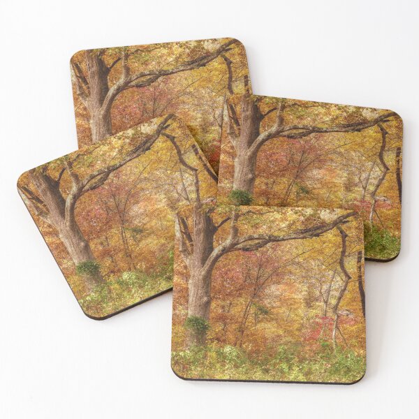 Item preview, Autumn Forest designed and sold by Frankie Cat Photography.
