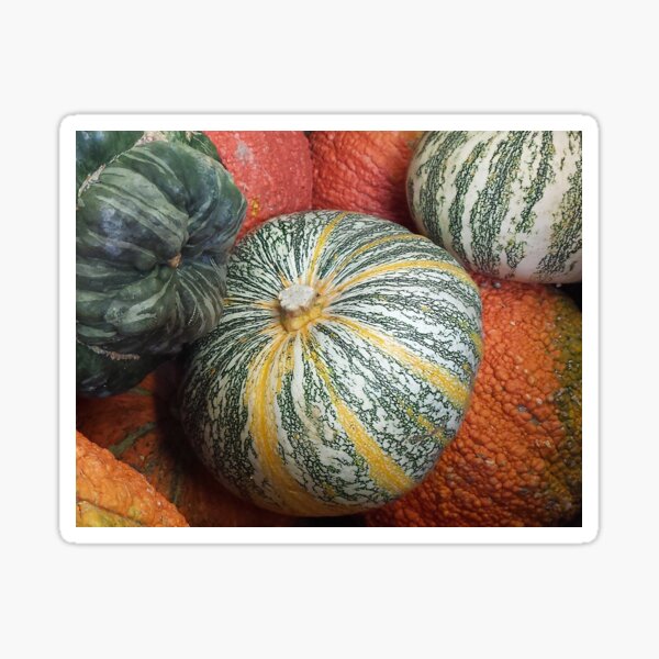 Item preview, Gourds  designed and sold by blakcirclegirl.