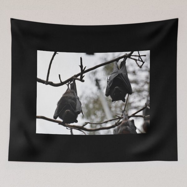 Item preview, Bats, Bats, Bats designed and sold by CodyLaskeyPhoto.
