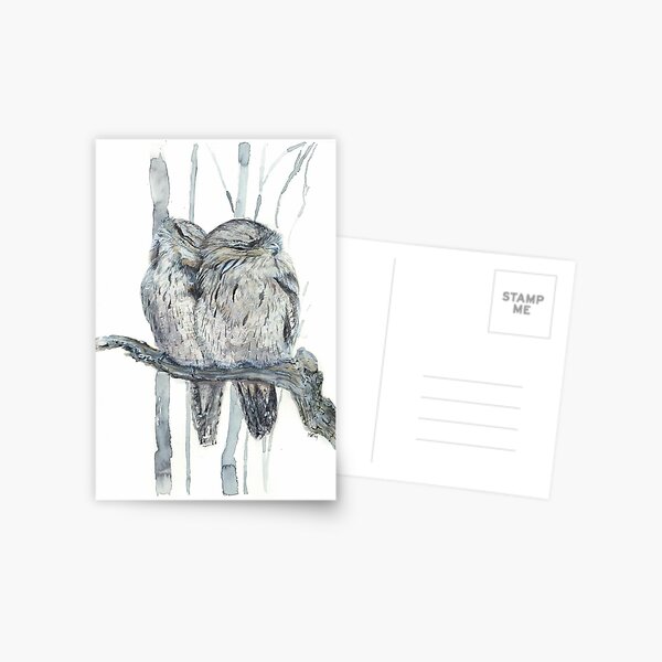 Tawny Frogmouth Postcard
