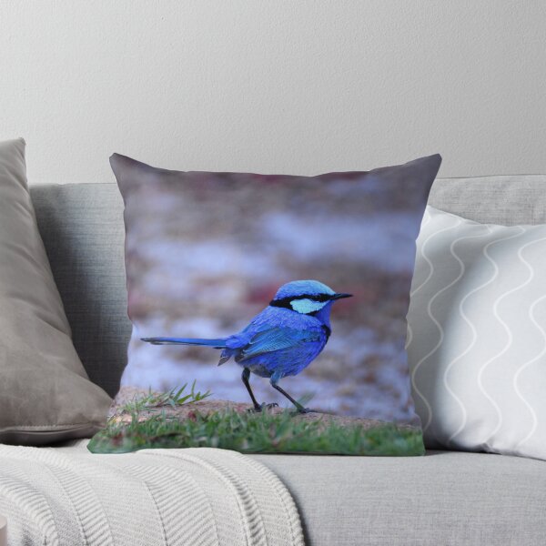 Item preview, Blue Wren designed and sold by CodyLaskeyPhoto.