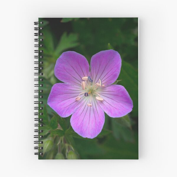 Item preview, Wild Geranium designed and sold by dlamb.