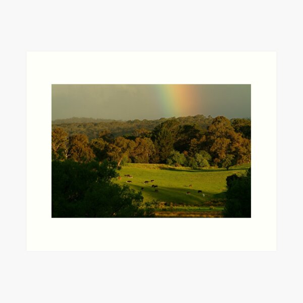 Late Light, Otway Farmlands Art Print