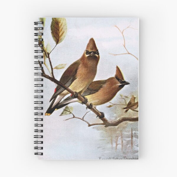Item preview, Cedar Waxwings designed and sold by goldenmenagerie.