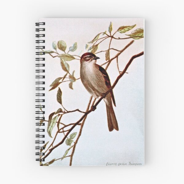 Item preview, Chipping Sparrow Perching designed and sold by goldenmenagerie.