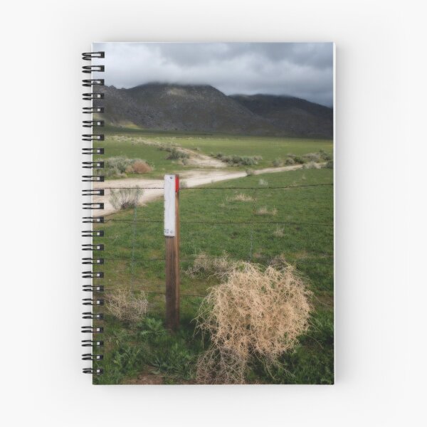 Item preview, Tumbleweed designed and sold by Hugh Olin Smith Jr.