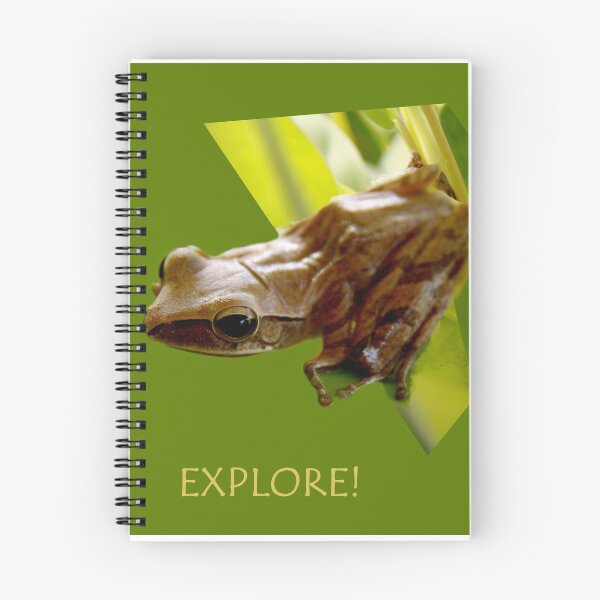 Item preview, explore designed and sold by lensbaby.