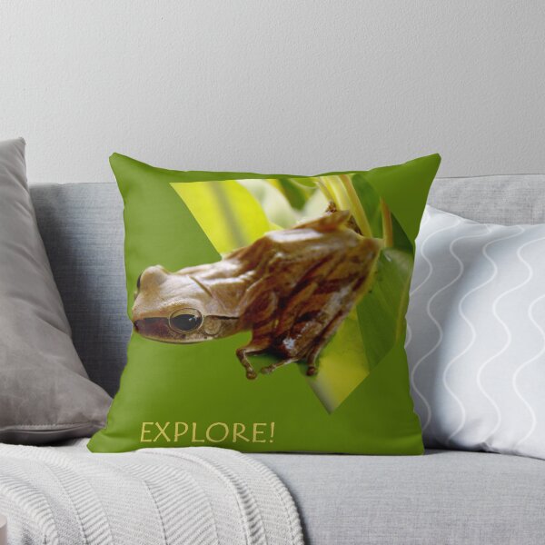 Item preview, explore designed and sold by lensbaby.
