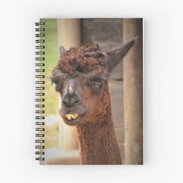 Item preview, Young Llama designed and sold by annAHorton.