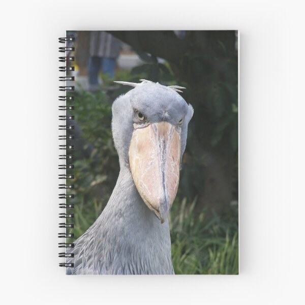 Item preview, Shoebill designed and sold by jamesnuttall234.