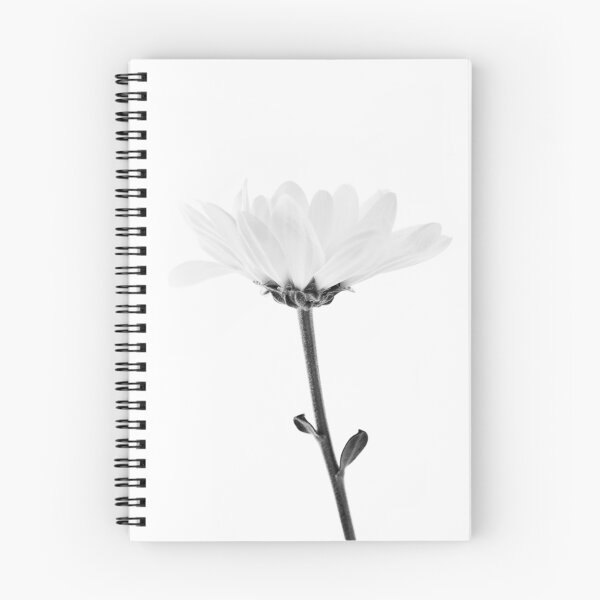 Item preview, Delicate white flower, chamomile designed and sold by utekhina.