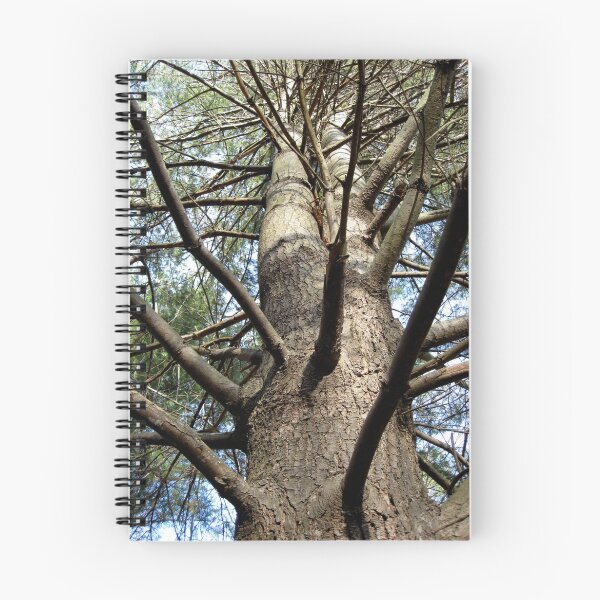 Item preview, Pino designed and sold by AlphaEyePhoto.