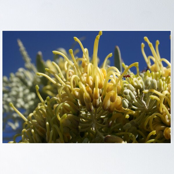 Item preview, Antville Yellow designed and sold by A1000WORDS.