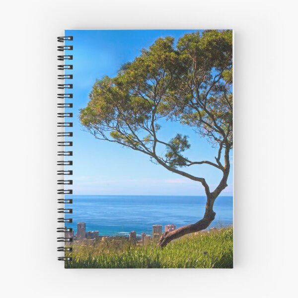 Artikelvorschau, Baum bei Punchbowl Hawaii entworfen und verkauft von Eileen McVey.