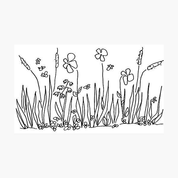 Wiesenblumen - Print Fotodruck