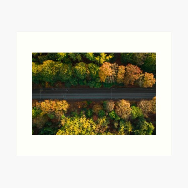 Autumn Tracks (horizontal) Art Print