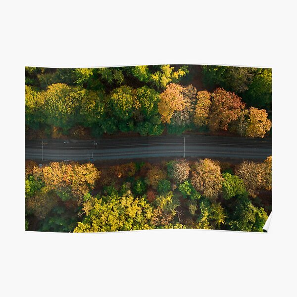 Autumn Tracks (horizontal) Poster