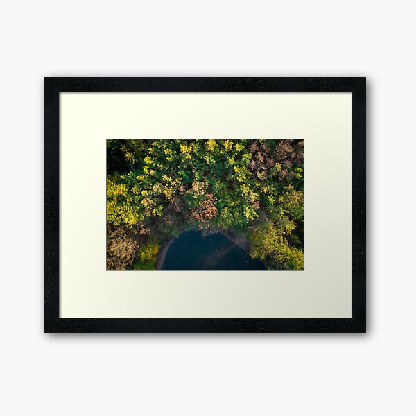 Lakeside Framed Art Print