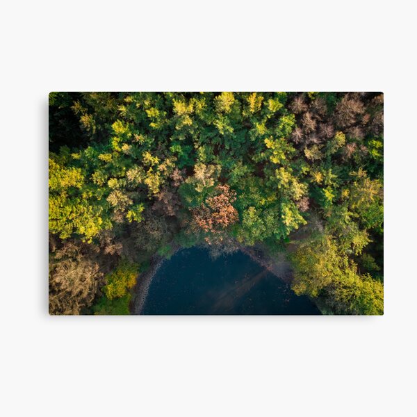 Lakeside Canvas Print