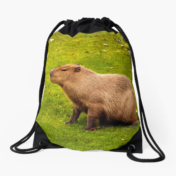 Item preview, Capybara designed and sold by Vac1.