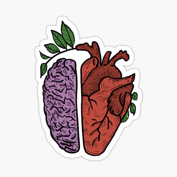 Half Heart Half Brain Combination Creative Brooch Artistic Sense Organ  Accessories Suitable for Medical Workers (8) : : Clothing, Shoes &  Accessories