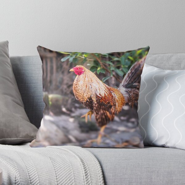 Rooster throw clearance pillows