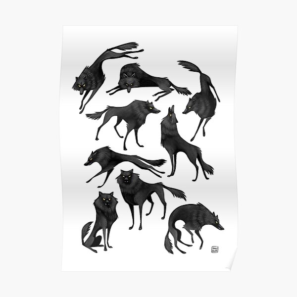 Black wolves Poster