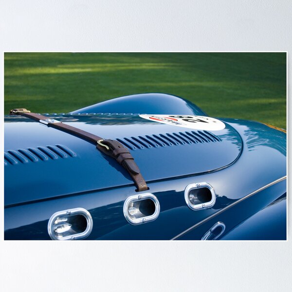 Item preview, Allard en reposo designed and sold by Timothy Meissen.