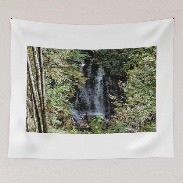 Item preview, Soco Falls - North Carolina 4 designed and sold by jtrommer.