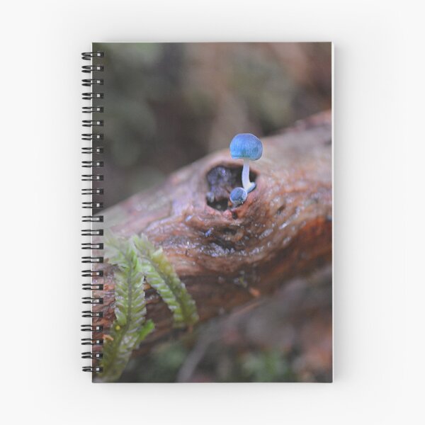 Item preview, Mycena interrupta designed and sold by Erin Anderson.