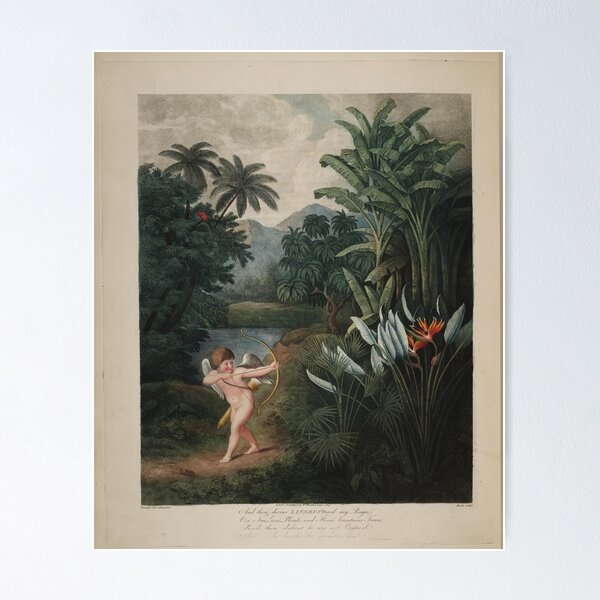 Item preview, VINTAGE POSTER CUPIDON  designed and sold by Barbzzm.