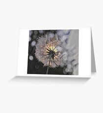 Little Lantern Greeting Card