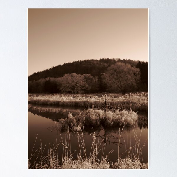 Item preview, Sunny Solitude designed and sold by Bruce Haney.