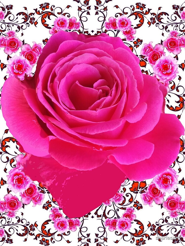 Cerise Pink Roses