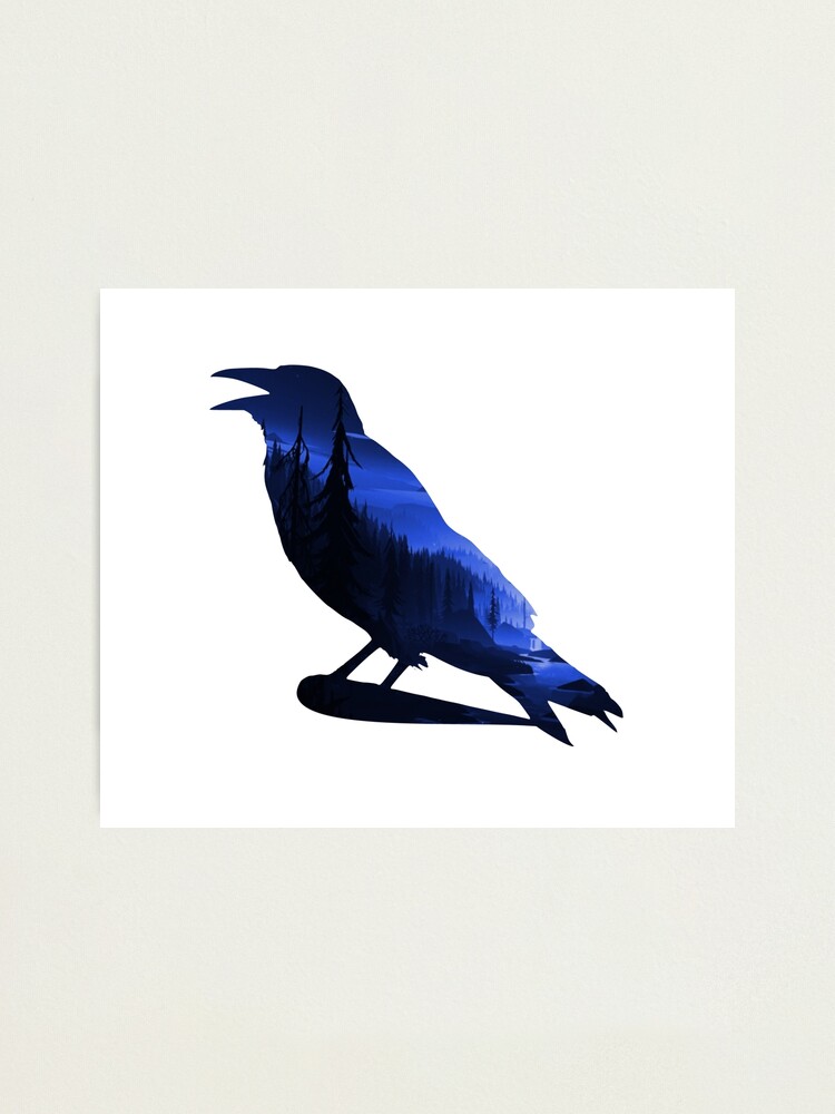 Night Crow Forest Photographic Print By Alderv Redbubble Night Crow Forest Photographic Print By Alderv Redbubble