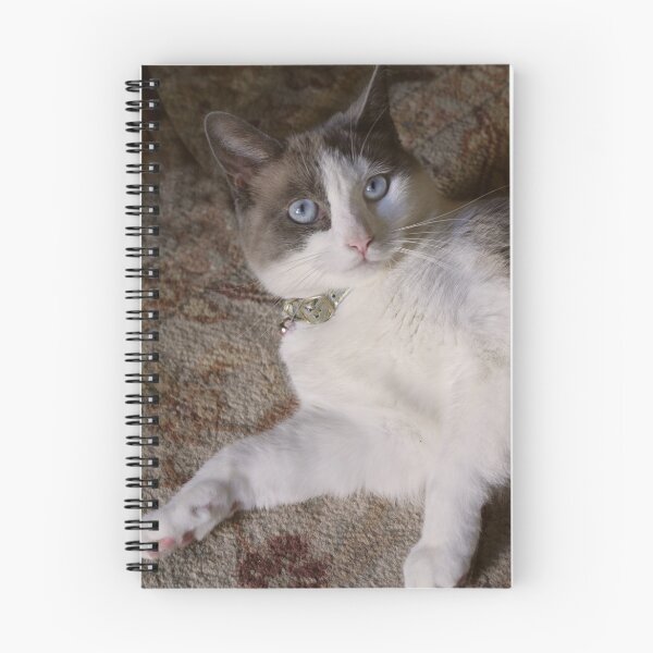 Item preview, Misty Stare designed and sold by webster7.