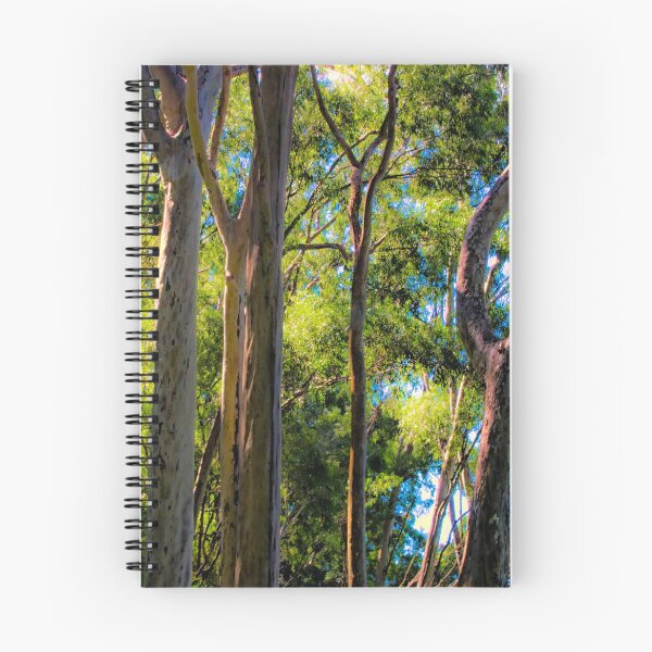 Item preview, Trees in the Light designed and sold by Eileen McVey.