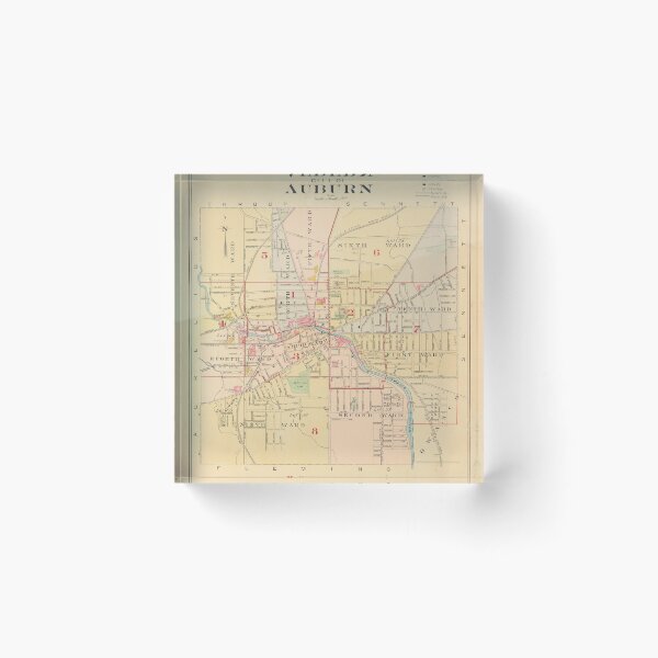 Item preview, Vintage Map of Auburn NY (1904) designed and sold by BravuraMedia.