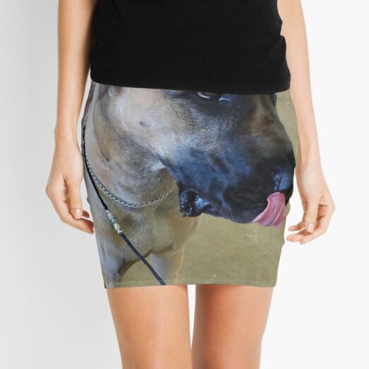 Dog Licking Mini Skirts for Sale | Redbubble