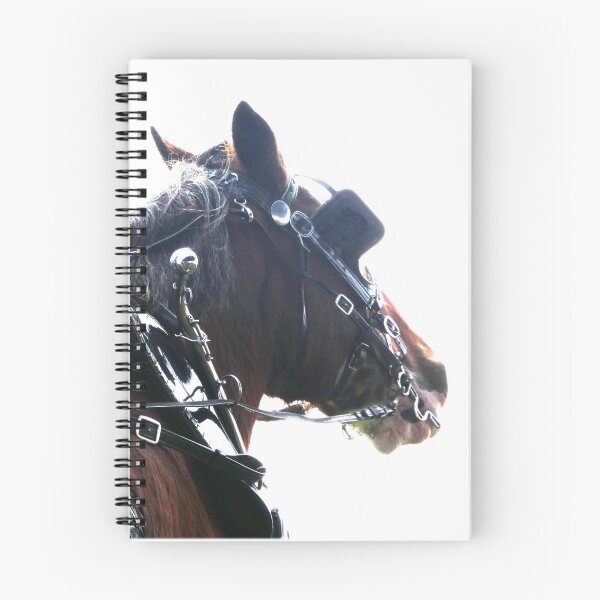 Item preview, Clydesdale Horse from Cart Driver's view designed and sold by rainbowconfetti.