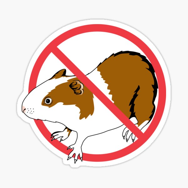 No Guinea Pig Sticker