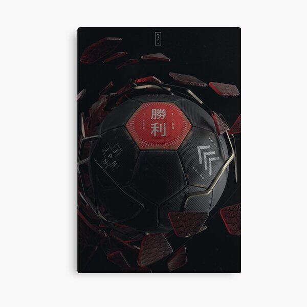 Black Widow Canvas Print