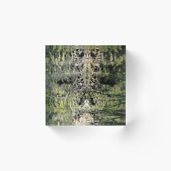 Nature's fractal 4: Northwest Bay Brook, NY Acrylic Block
