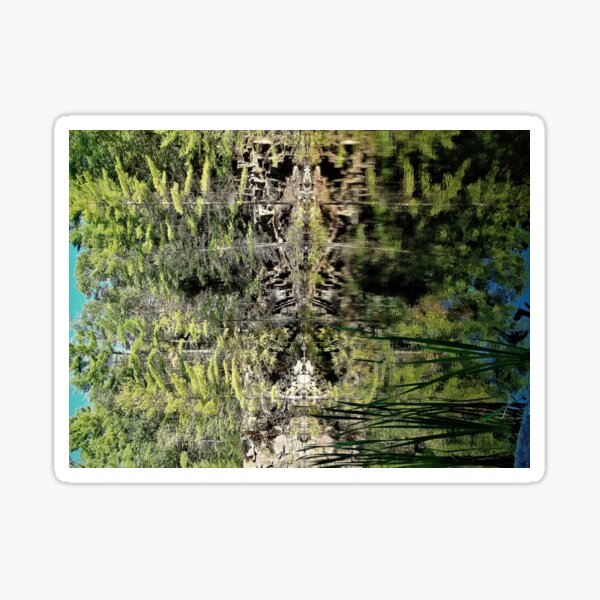 Nature's fractal 4: Northwest Bay Brook, NY Sticker